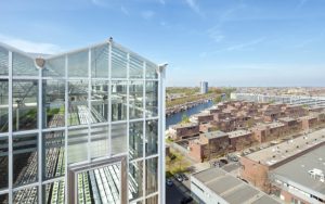 Rooftop Greenhouse UrbanFarmers